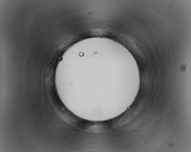 X0000101690364200808071140