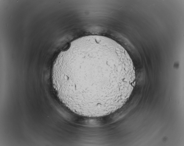 X0000101690365200808071140