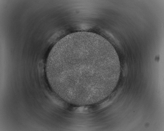 X0000101690366200808071140