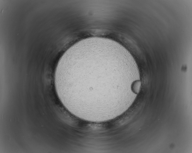 X0000101690367200808071140