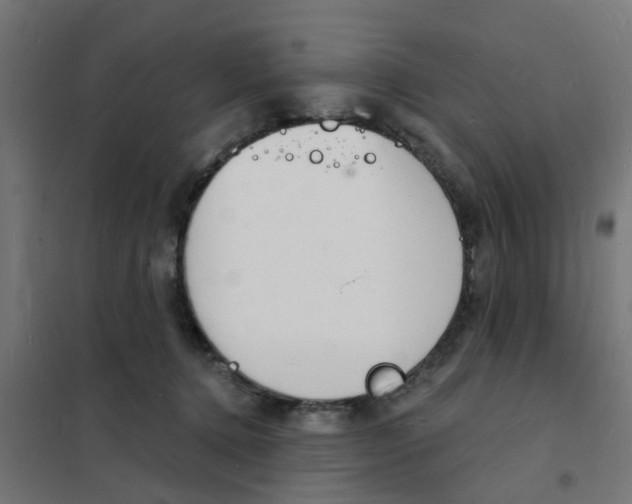 X0000101690368200808071140