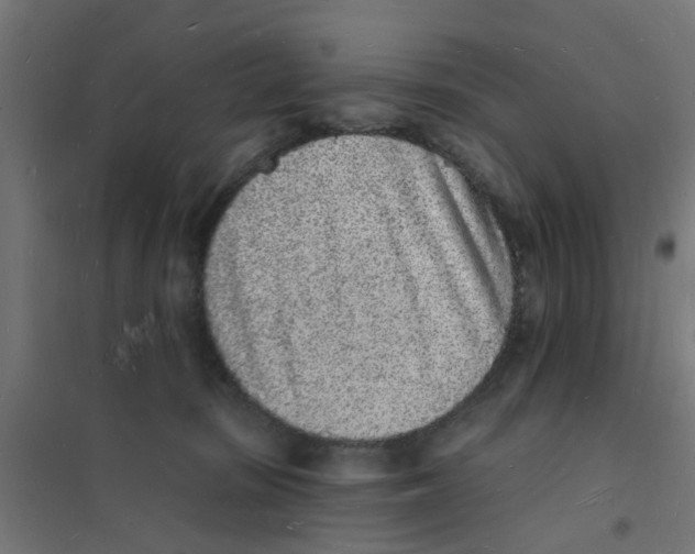 X0000101690371200808071140