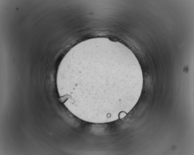 X0000101690373200808071140