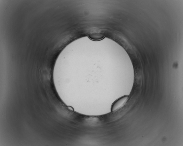 X0000101690374200808071140