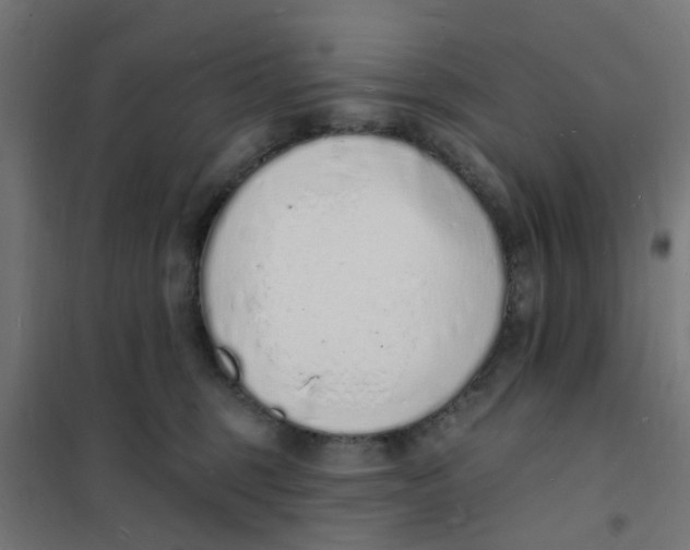 X0000101690375200808071140