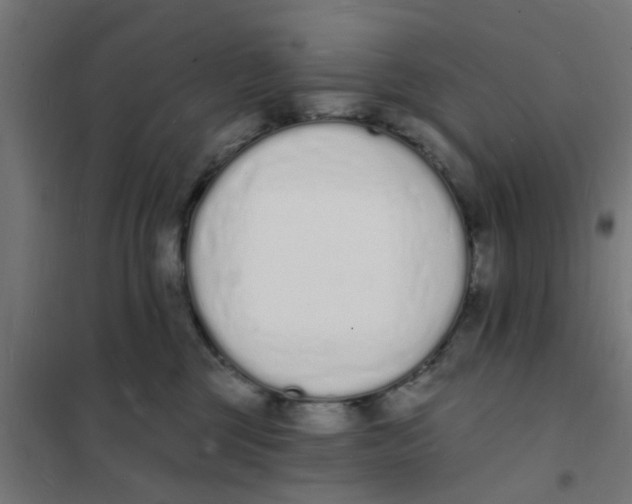 X0000101690377200808071140