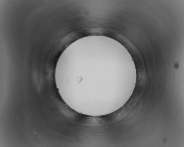 X0000101690379200808071140