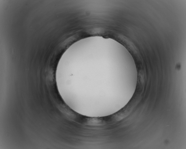 X0000101690380200808071140