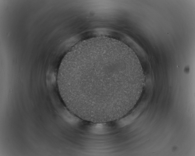 X0000101690382200808071140