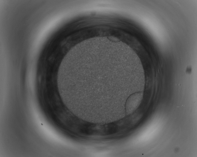 X0000101690383200808071140