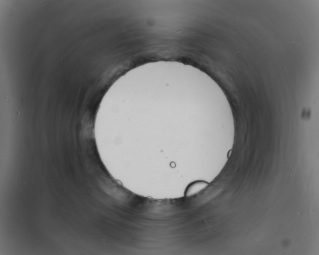 X0000101690384200808071140