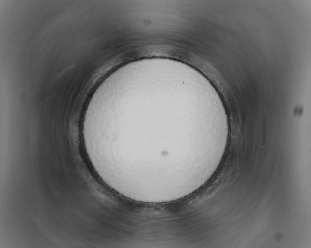 X0000101690386200808071140