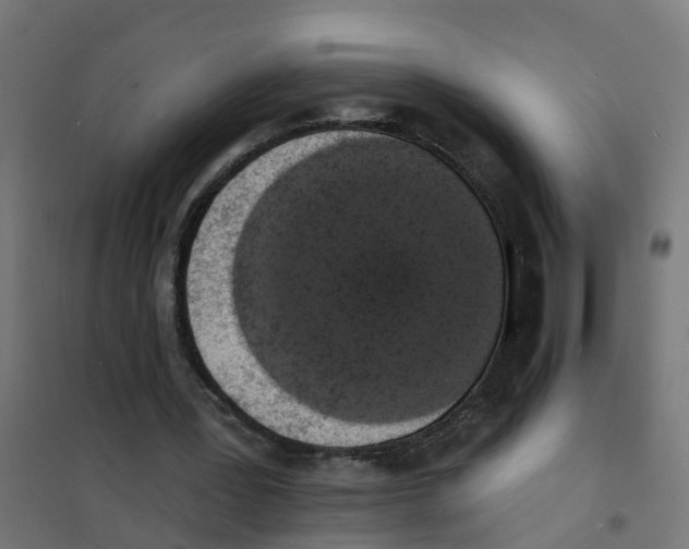 X0000101690387200808071140