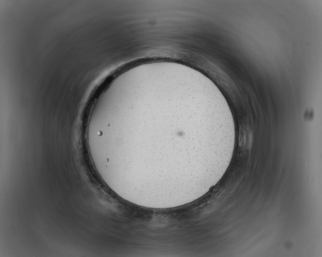 X0000101690388200808071140