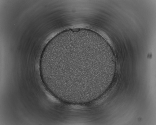 X0000101690389200808071140