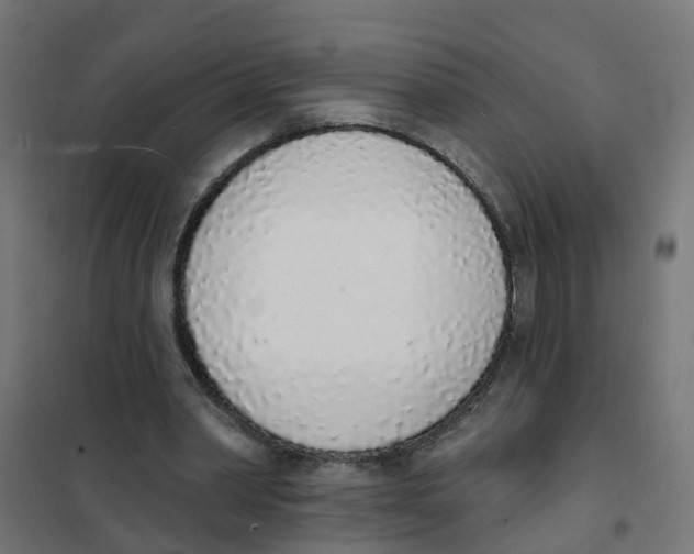 X0000101690390200808071140