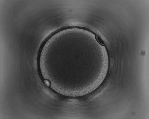 X0000101690391200808071140