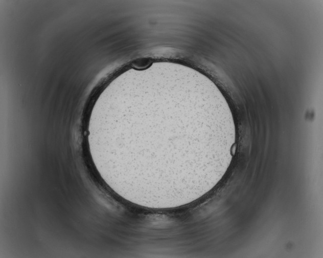 X0000101690392200808071140