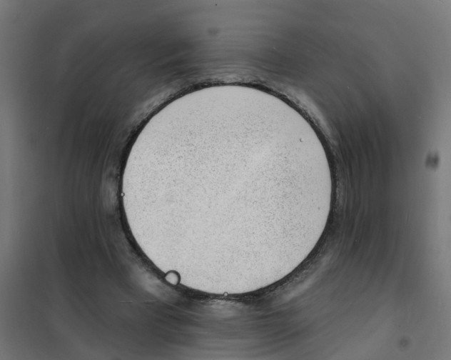 X0000101690393200808071140