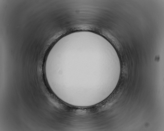 X0000101690394200808071140