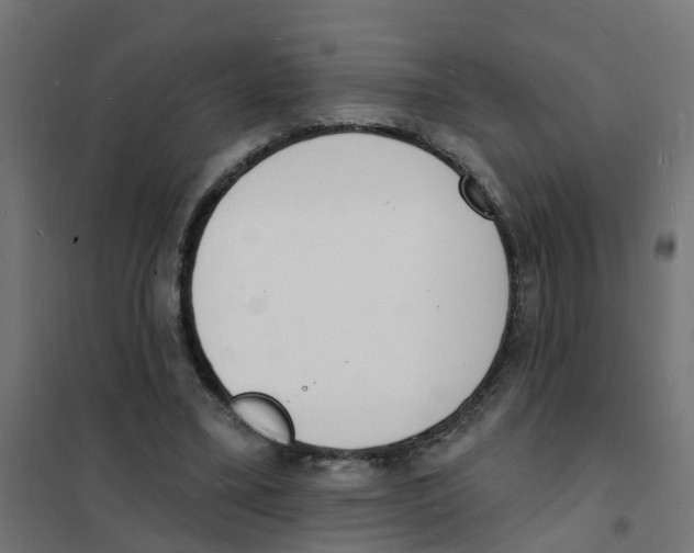 X0000101690395200808071140