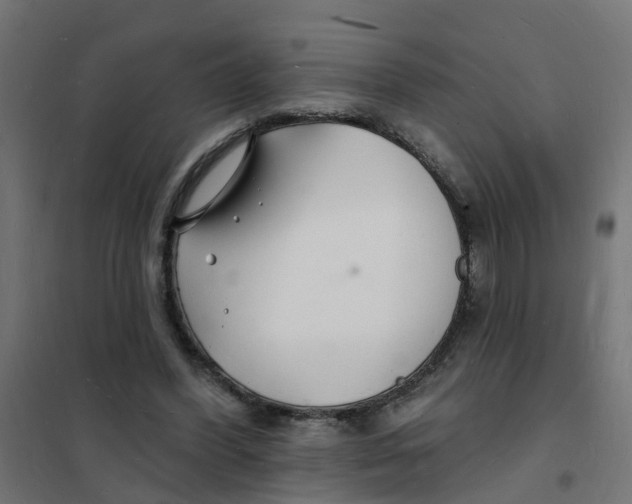 X0000101690396200808071140