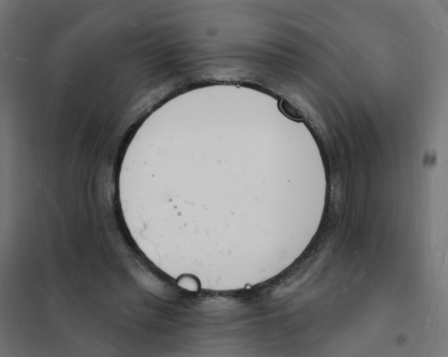 X0000101690397200808071140