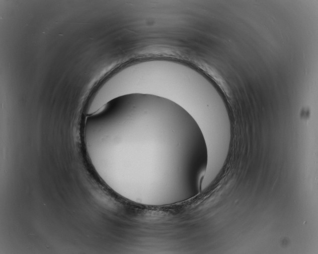 X0000101690399200808071140