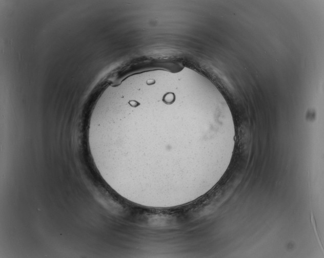 X0000101690400200808071140