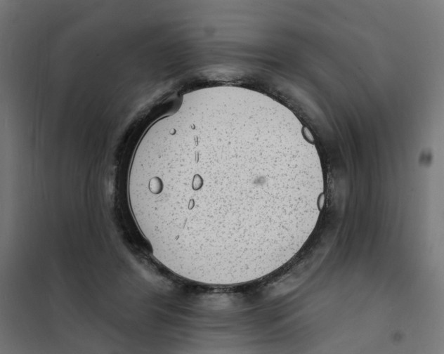 X0000101690404200808071139