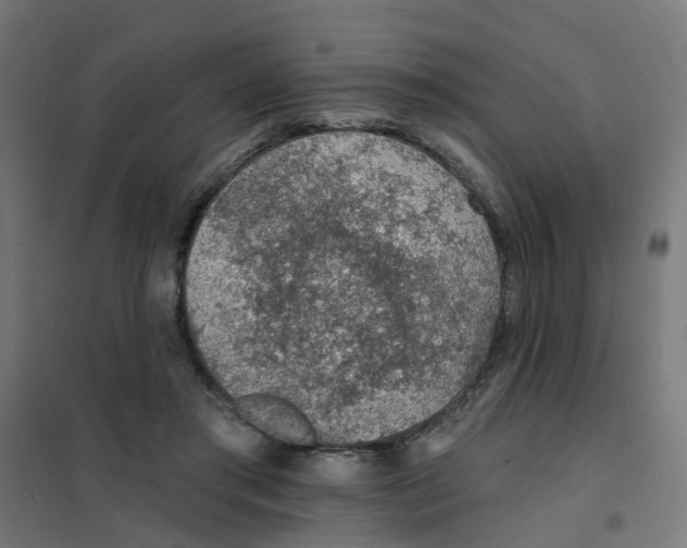 X0000101690405200808071139