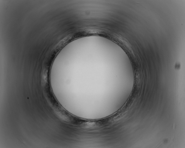 X0000101690406200808071139