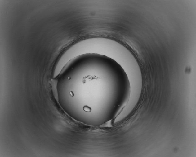 X0000101690407200808071139