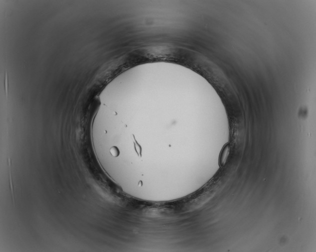 X0000101690408200808071139