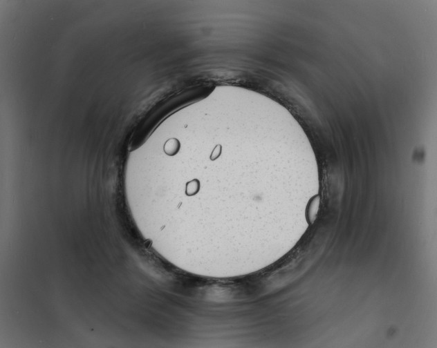 X0000101690412200808071139