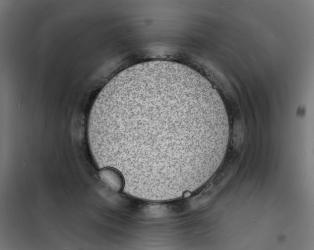 X0000101690413200808071139