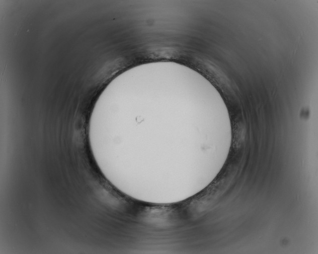 X0000101690414200808071139