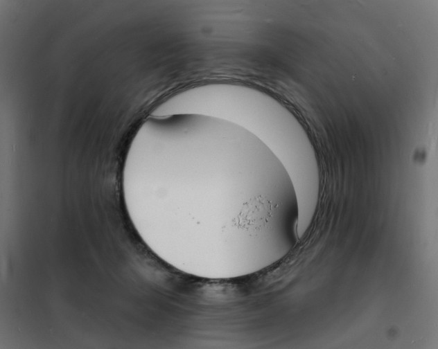 X0000101690415200808071139