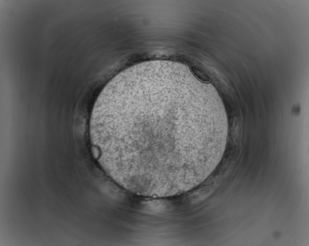 X0000101690417200808071139