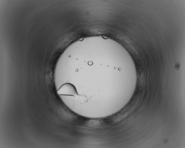 X0000101690418200808071139