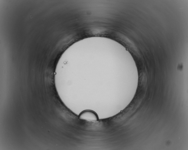 X0000101690421200808071139