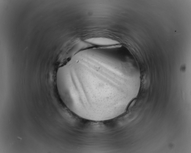 X0000101690424200808071139