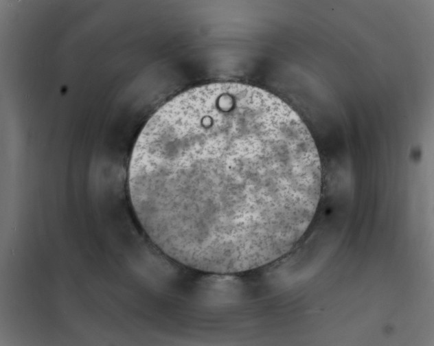 X0000101690427200808071139