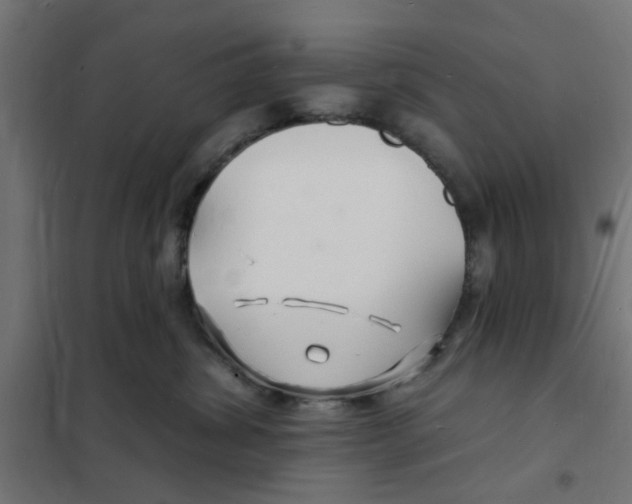 X0000101690428200808071139