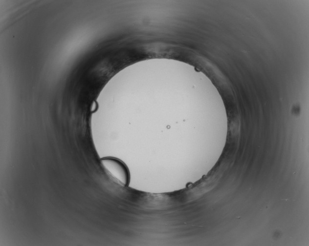 X0000101690429200808071139