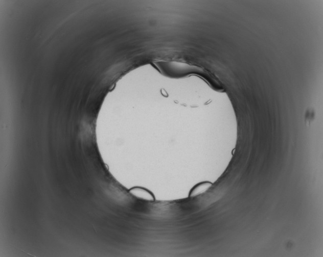 X0000101690432200808071139