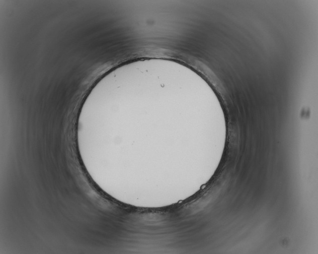 X0000101690433200808071138