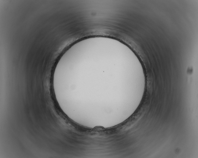 X0000101690434200808071138