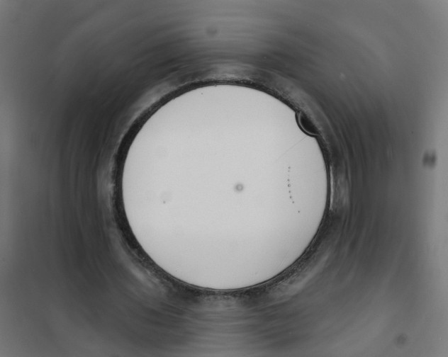 X0000101690435200808071138