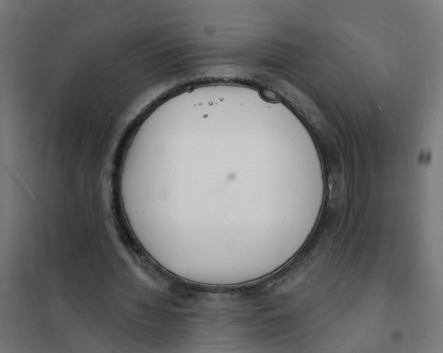 X0000101690436200808071138